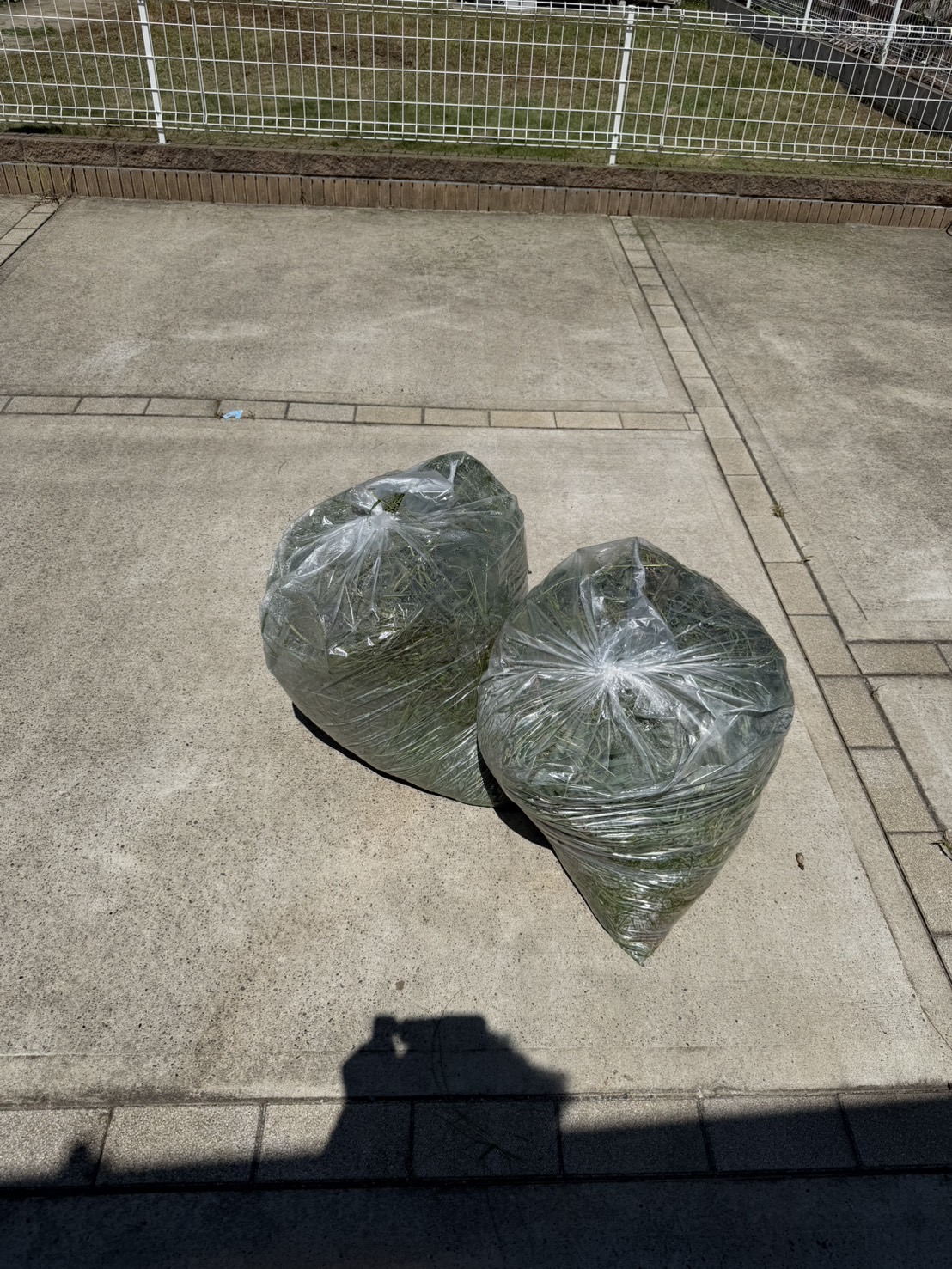 雑草入りゴミ袋2袋の回収｜お庭の草むしり後の不用品を回収しました